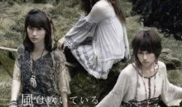 《风》在线观看,穿越时空的旋律之旅